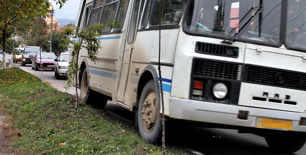 Два „німці” не поділили проїзну частину вул. Чернівецької у Сторожинці (фото) - фото 2 Два „німці” не поділили проїзну частину вул. Чернівецької у Сторожинці (фото) - фото 2