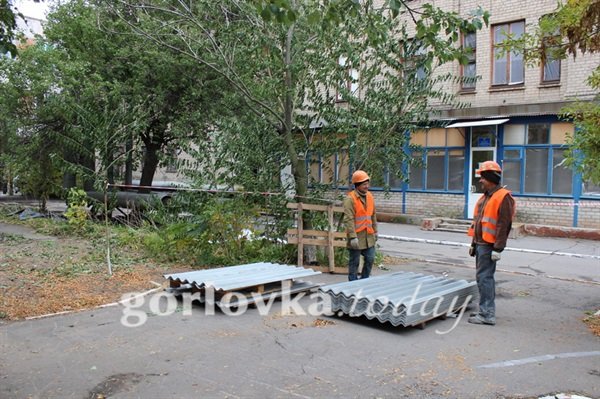 роддом3 роддом3