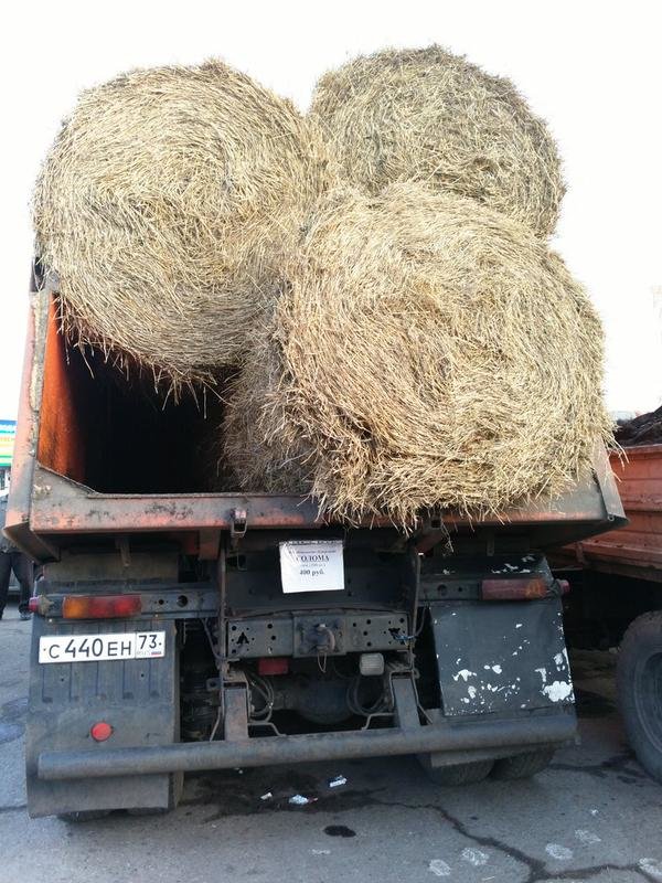 Чем поживились ульяновцы на Дне напитков (фото) (фото) - фото 1