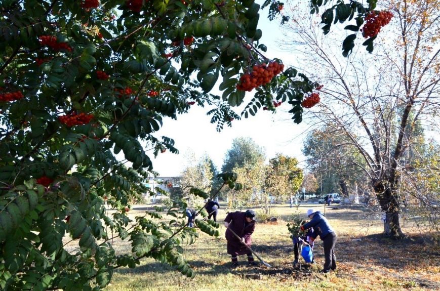 субботник в Новодонецком субботник в Новодонецком