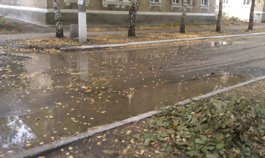 Беличане, будьте бдительны! (фото) - фото 1 Беличане, будьте бдительны! (фото) - фото 1