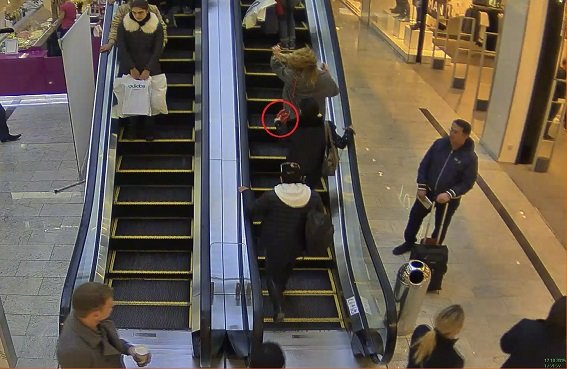 В Киеве задержали двух воровок, которые промышляли в торговом центре (ФОТО, ВИДЕО) (фото) - фото 1 В Киеве задержали двух воровок, которые промышляли в торговом центре (ФОТО, ВИДЕО) (фото) - фото 1