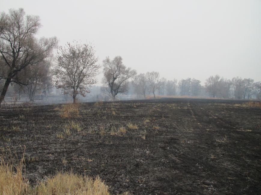 На Полтавщині горить 112 га торфу (ФОТО) (фото) - фото 2 На Полтавщині горить 112 га торфу (ФОТО) (фото) - фото 2