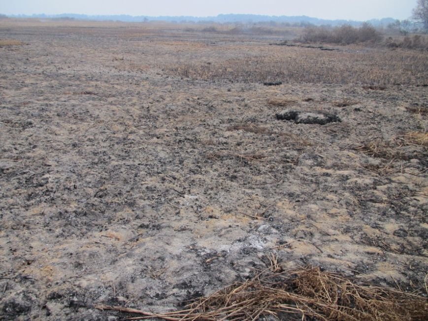 На Полтавщині горить 112 га торфу (ФОТО) (фото) - фото 9 На Полтавщині горить 112 га торфу (ФОТО) (фото) - фото 9