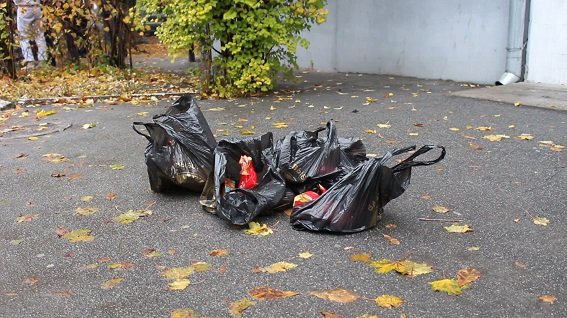В Киеве агитаторы подкупали избирателей сладостями и билетами на концерт (ФОТО) (фото) - фото 2 В Киеве агитаторы подкупали избирателей сладостями и билетами на концерт (ФОТО) (фото) - фото 2