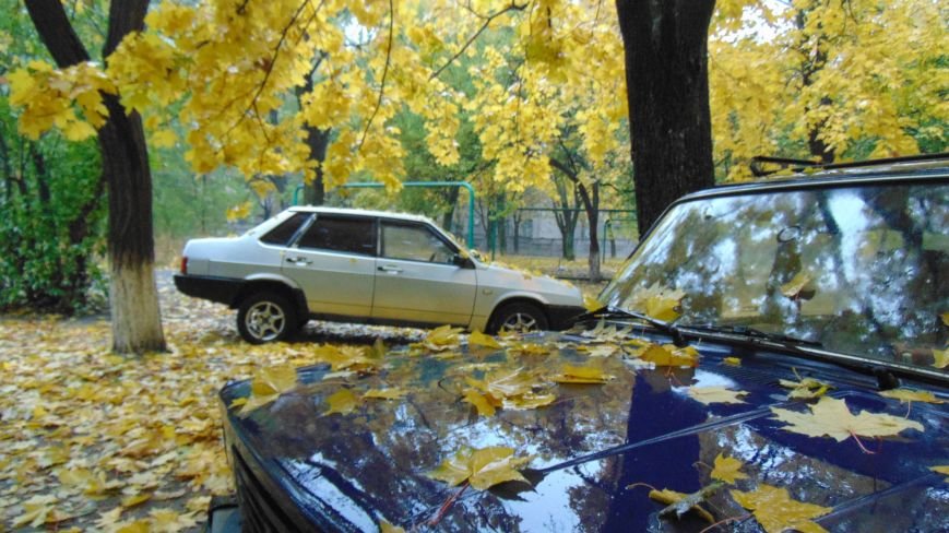 Фотопятница: «Город, поменявший цвет» (фото) - фото 5 Фотопятница: «Город, поменявший цвет» (фото) - фото 5