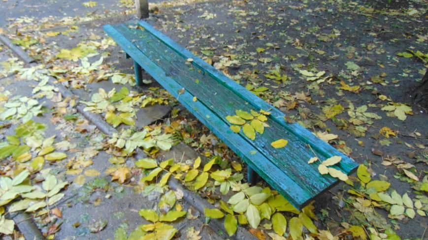 Фотопятница: «Город, поменявший цвет» (фото) - фото 5 Фотопятница: «Город, поменявший цвет» (фото) - фото 5