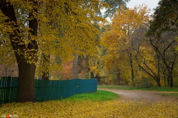 парк3 парк3