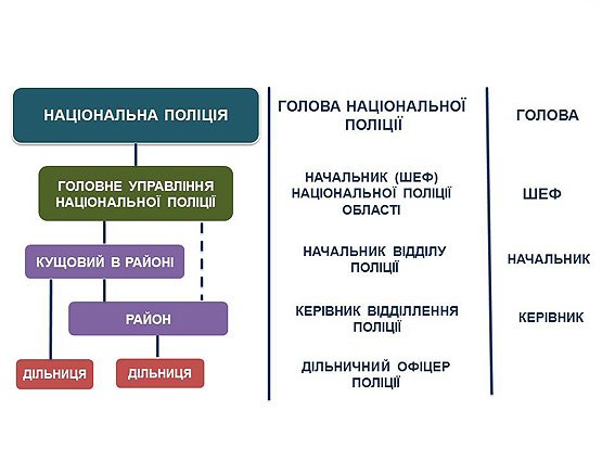 Стало відомо, як буде функціонувати нова поліція в Україні (фото) - фото 1 Стало відомо, як буде функціонувати нова поліція в Україні (фото) - фото 1