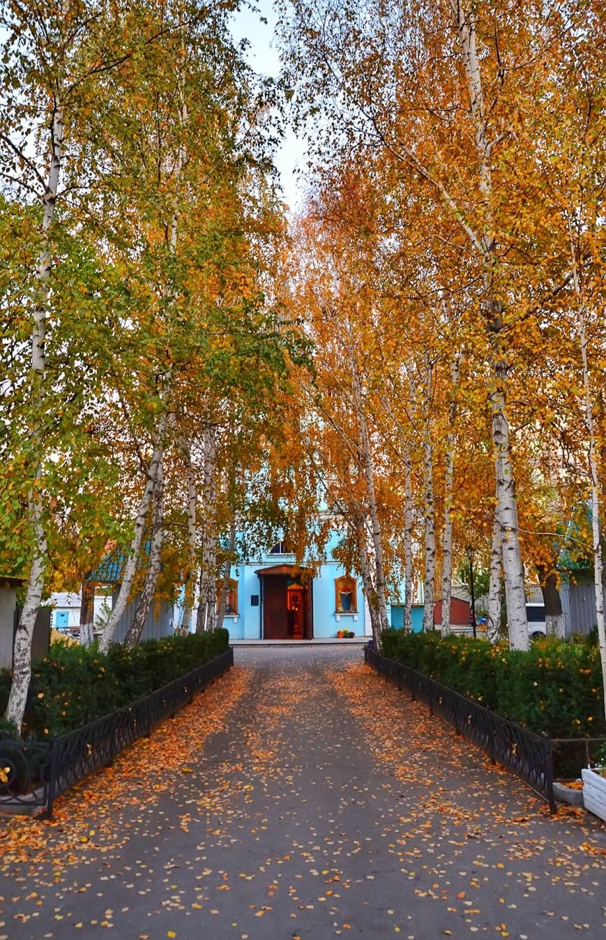 Фотопятница: Николаев соборный (ФОТО), фото-9 Фотопятница: Николаев соборный (ФОТО), фото-9
