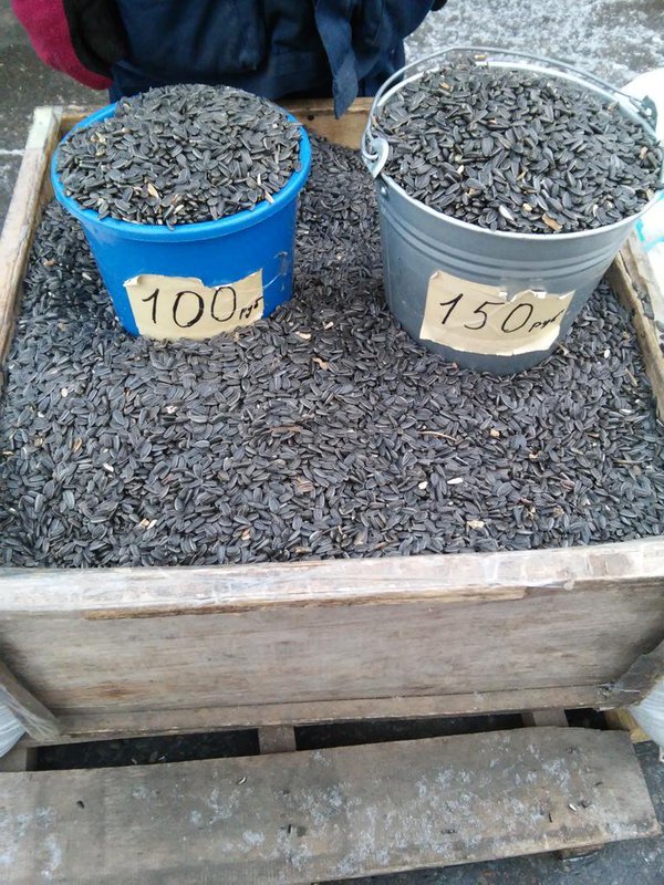 По щучьему велению: сахар за 40 рублей, живая рыба и многое другое (фото) (фото) - фото 14