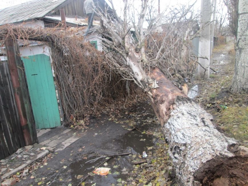 В макеевском поселке Ханженково на жилой дом упало старое дерево (фото) - фото 1 В макеевском поселке Ханженково на жилой дом упало старое дерево (фото) - фото 1
