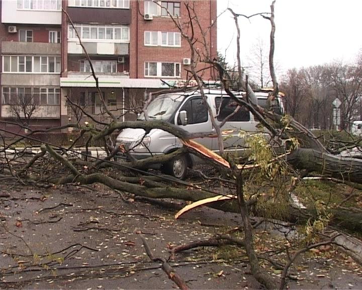 В Армавире из-за непогоды на автомобиль упало дерево (фото) - фото 1 В Армавире из-за непогоды на автомобиль упало дерево (фото) - фото 1