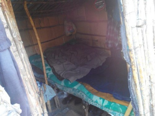 В Одесской области нашли отшельника, который 7 лет живет в шалаше (ФОТО) (фото) - фото 2