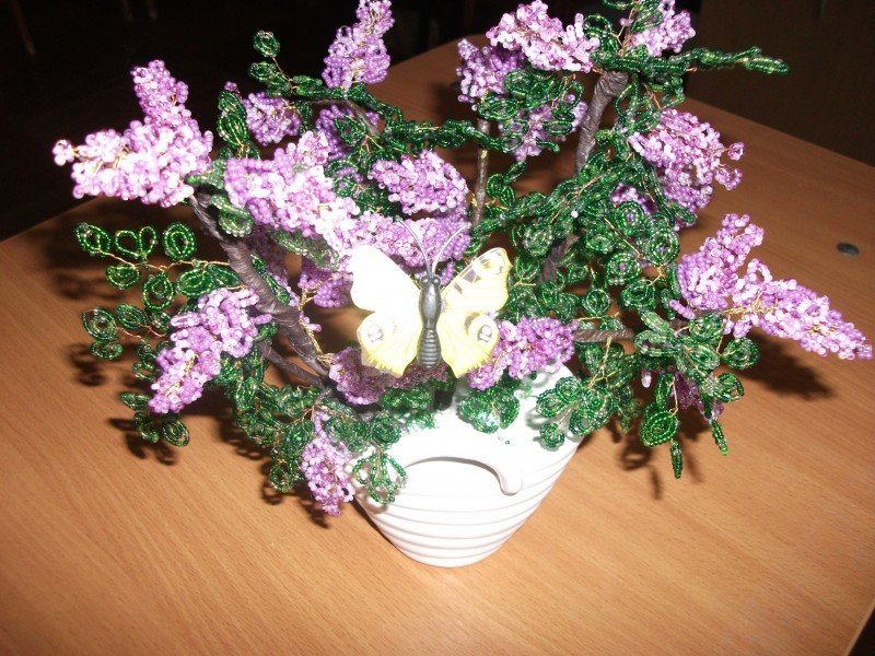 Оптима_Котельникова Лена 13 лет, Утренняя свежесть Оптима_Котельникова Лена 13 лет, Утренняя свежесть