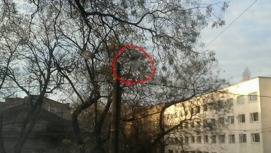 В центре Одессы плафон фонаря может пришибить кого-то (ФОТО) (фото) - фото 1