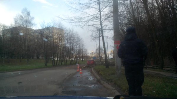 На одній із вулиць Львова падаюче дерево обірвало лінії електропередач (ФОТО) (фото) - фото 1 На одній із вулиць Львова падаюче дерево обірвало лінії електропередач (ФОТО) (фото) - фото 1