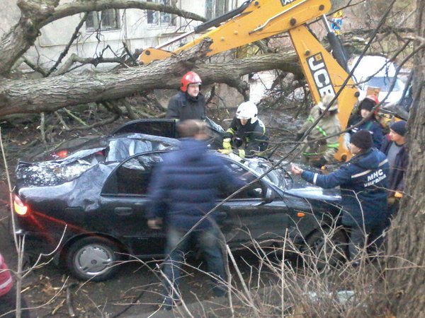 Внаслідок падіння дерева на перехресті вулиць Липова Алея - Стуса травмувалися дві людини (ФОТО) (фото) - фото 1 Внаслідок падіння дерева на перехресті вулиць Липова Алея - Стуса травмувалися дві людини (ФОТО) (фото) - фото 1