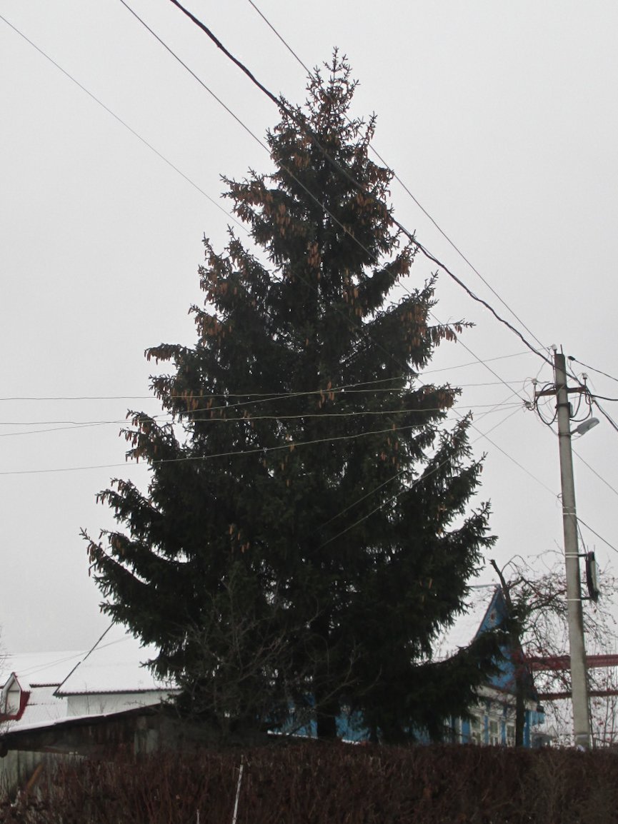 е2 е2