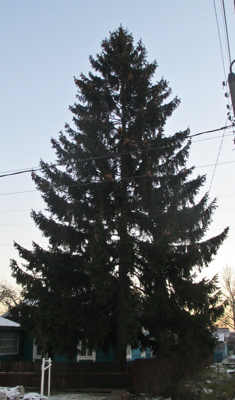 е3 е3
