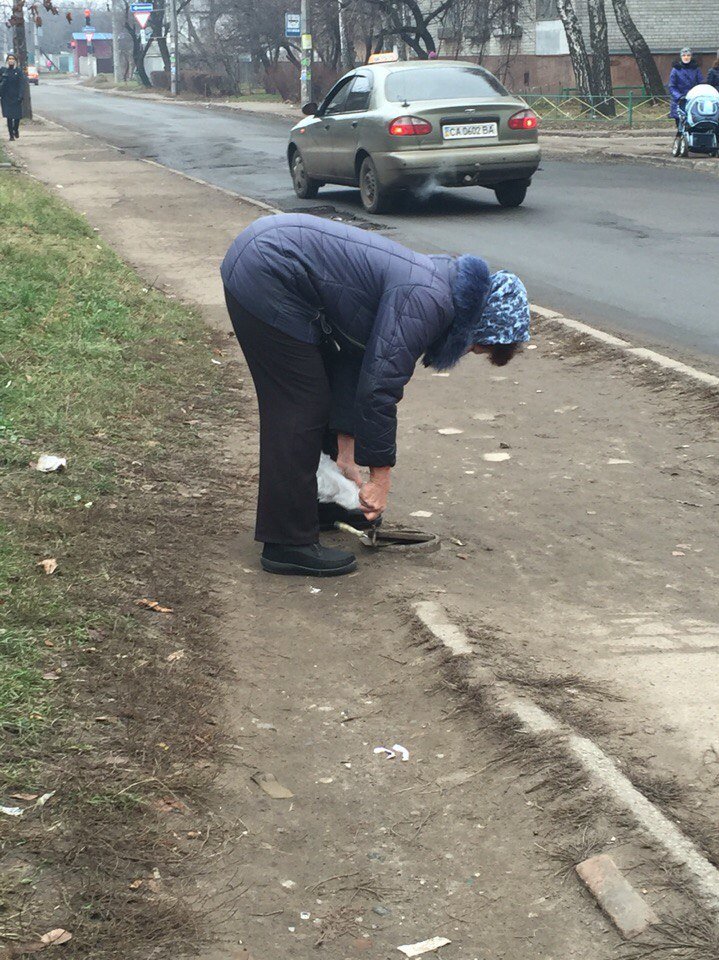 люк2 люк2