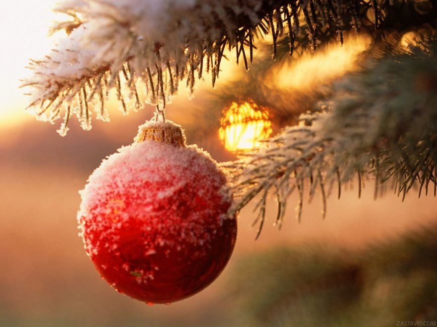 Новогодняя афиша 2015-2016: куда сходить повеселиться (фото) - фото 13 Новогодняя афиша 2015-2016: куда сходить повеселиться (фото) - фото 13