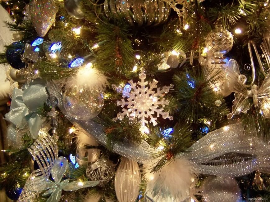 Новогодняя афиша 2015-2016: куда сходить повеселиться (фото) - фото 12 Новогодняя афиша 2015-2016: куда сходить повеселиться (фото) - фото 12