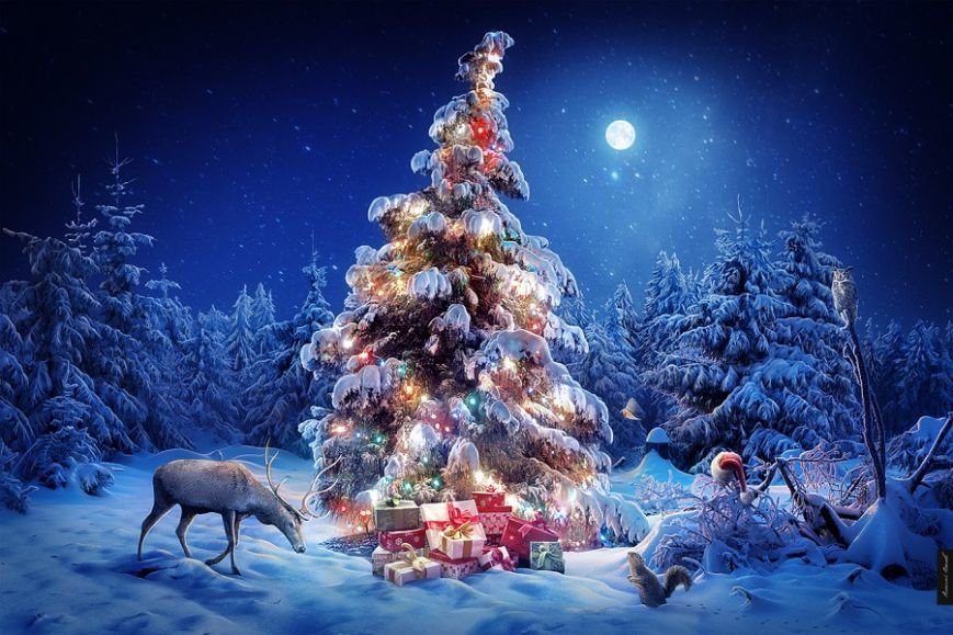 Новогодняя афиша 2015-2016: куда сходить повеселиться (фото) - фото 20 Новогодняя афиша 2015-2016: куда сходить повеселиться (фото) - фото 20
