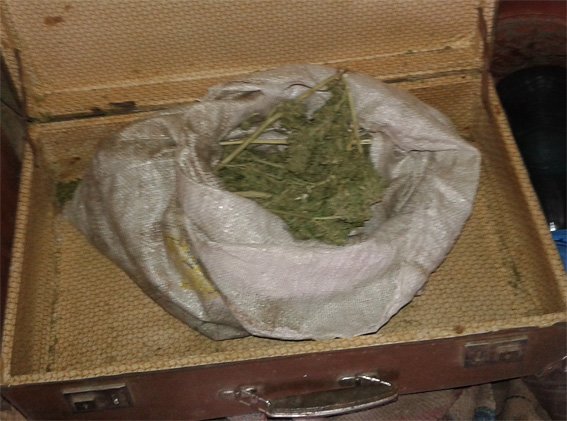 Близько 2 кг марихуани поліцейські вилучили у жителя області (ФОТО) (фото) - фото 1 Близько 2 кг марихуани поліцейські вилучили у жителя області (ФОТО) (фото) - фото 1