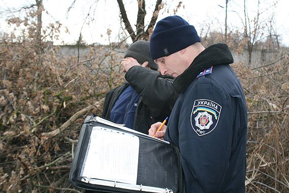 В Черниговской области процветает незаконный бизнес на дереве (фото) - фото 1 В Черниговской области процветает незаконный бизнес на дереве (фото) - фото 1
