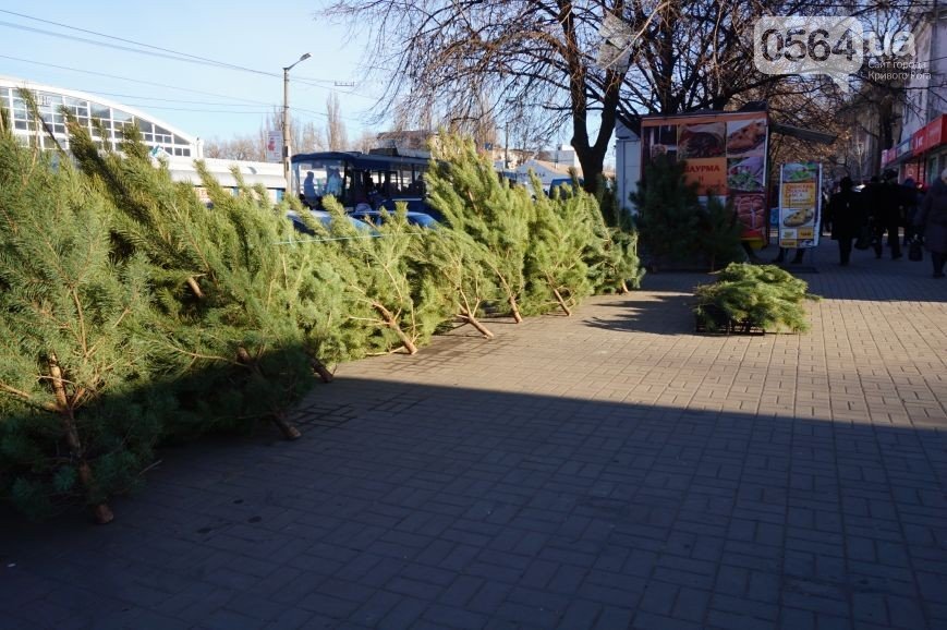 В Кривом Роге: ребенок провалился в люк, на рынках торгуют соснами без чипов, горизбирком досрочно прекратил полномочия старых 6 районных комиссий (фото) - фото 3 В Кривом Роге: ребенок провалился в люк, на рынках торгуют соснами без чипов, горизбирком досрочно прекратил полномочия старых 6 районных комиссий (фото) - фото 3