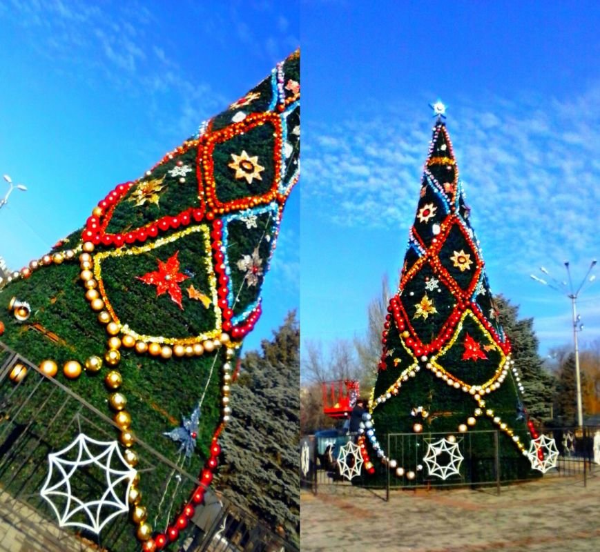 В Макеевке установили главную городскую елку (фотофакт) (фото) - фото 1 В Макеевке установили главную городскую елку (фотофакт) (фото) - фото 1