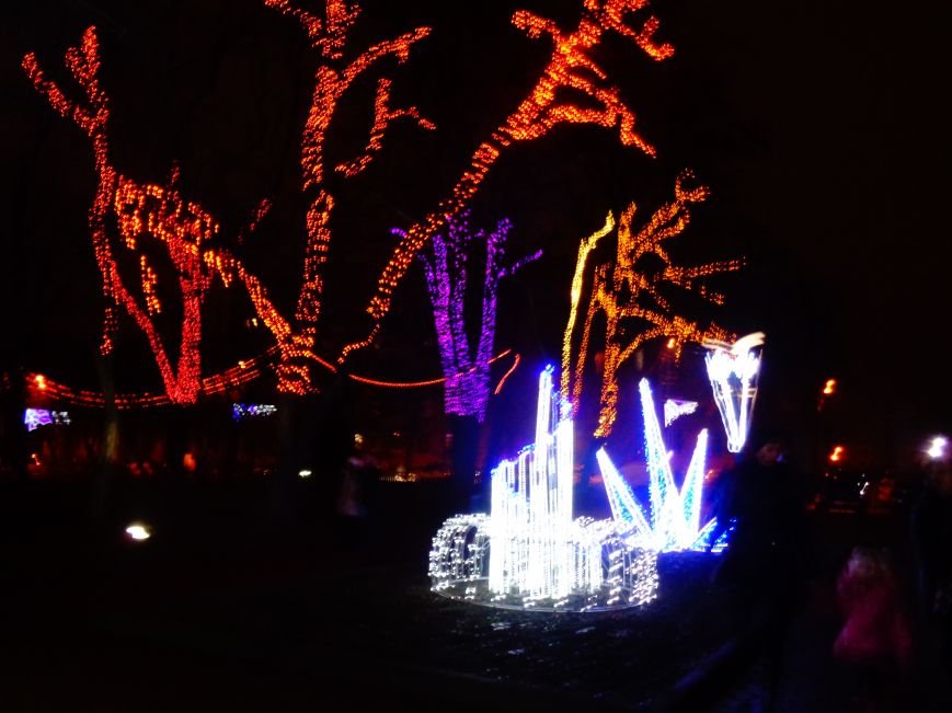 В Днепропетровске открылась областная ёлка (ФОТО, ВИДЕО) (фото) - фото 1 В Днепропетровске открылась областная ёлка (ФОТО, ВИДЕО) (фото) - фото 1