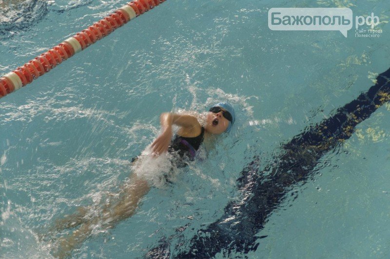 Полевские спортсмены обновили рекорды округа (фото) - фото 1 Полевские спортсмены обновили рекорды округа (фото) - фото 1