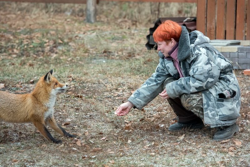 л8 л8