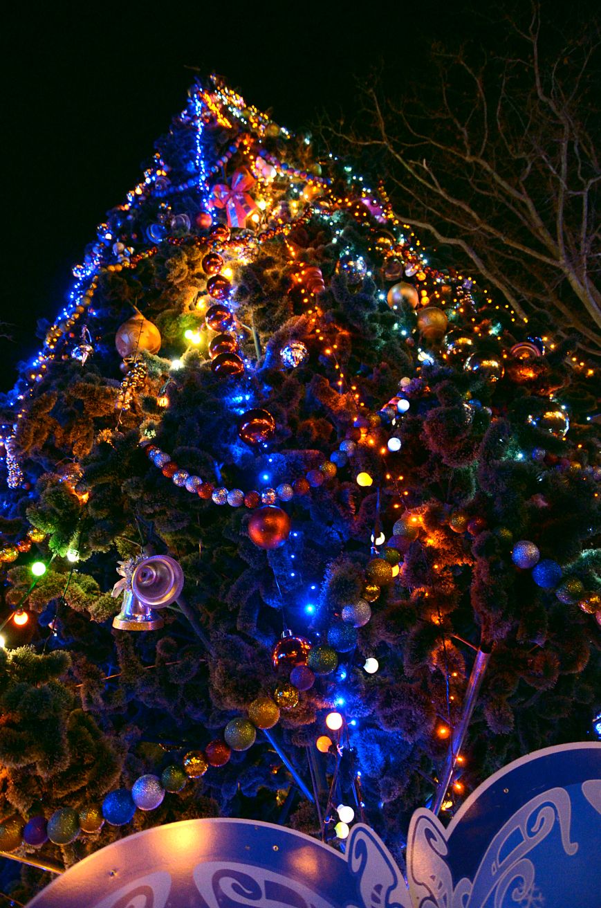 Aviary Photo_130958693914800990 Aviary Photo_130958693914800990