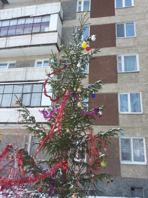ПКК_елка_00 ПКК_елка_00