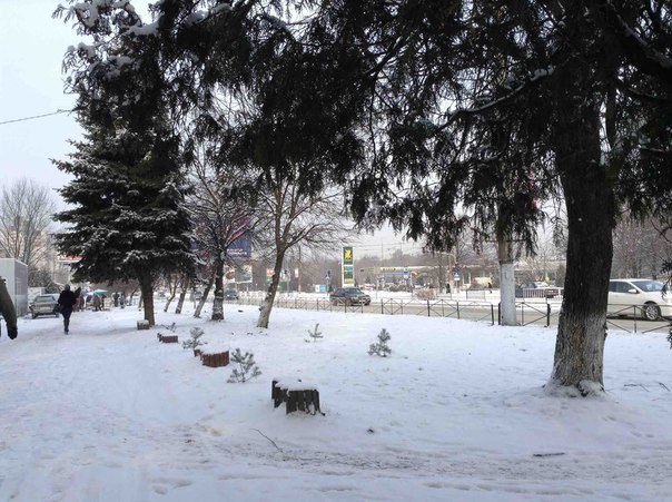 До Львова нарешті завітала справжня зима (ФОТОРЕПОРТАЖ) (фото) - фото 3 До Львова нарешті завітала справжня зима (ФОТОРЕПОРТАЖ) (фото) - фото 3