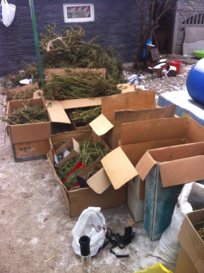 Днепропетровские СБУшники поймали на Рождество крупных наркоторговцев (ФОТО) (фото) - фото 2 Днепропетровские СБУшники поймали на Рождество крупных наркоторговцев (ФОТО) (фото) - фото 2