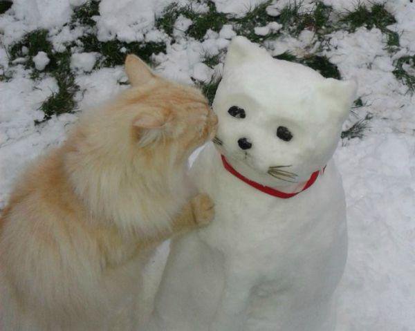 с4 с4