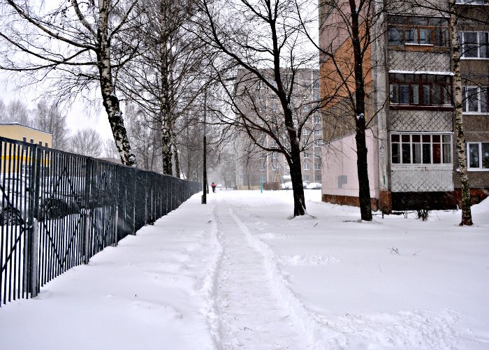 Циклон в Новополоцке: фоторепортаж с городских улиц (фото) - фото 1