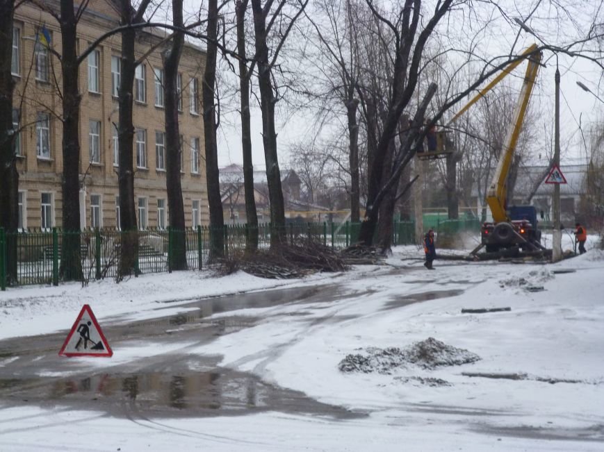 Снег опиловке деревьев в Красноармейске не помеха (фото) - фото 1 Снег опиловке деревьев в Красноармейске не помеха (фото) - фото 1