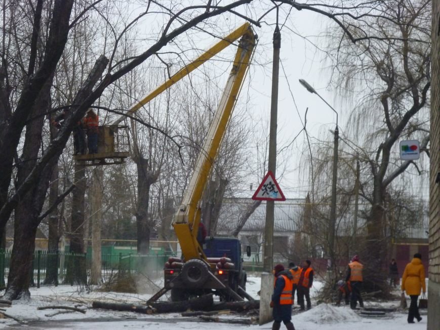 Снег опиловке деревьев в Красноармейске не помеха (фото) - фото 4 Снег опиловке деревьев в Красноармейске не помеха (фото) - фото 4