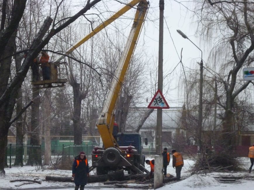 Снег опиловке деревьев в Красноармейске не помеха (фото) - фото 2 Снег опиловке деревьев в Красноармейске не помеха (фото) - фото 2