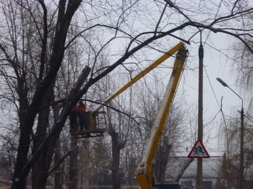 Снег опиловке деревьев в Красноармейске не помеха (фото) - фото 3 Снег опиловке деревьев в Красноармейске не помеха (фото) - фото 3