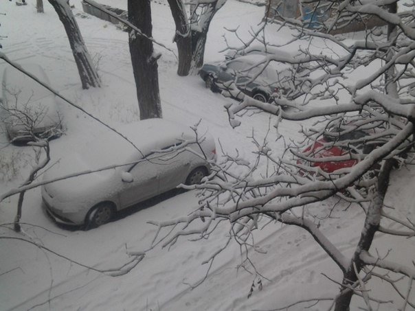 снов снов