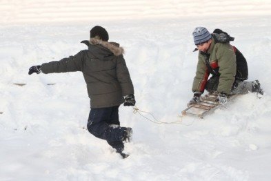 сани сани