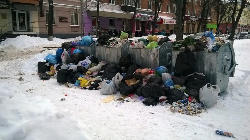 Полтавчане сетуют на переполненные мусорные баки (ФОТОФАКТ) (фото) - фото 2 Полтавчане сетуют на переполненные мусорные баки (ФОТОФАКТ) (фото) - фото 2