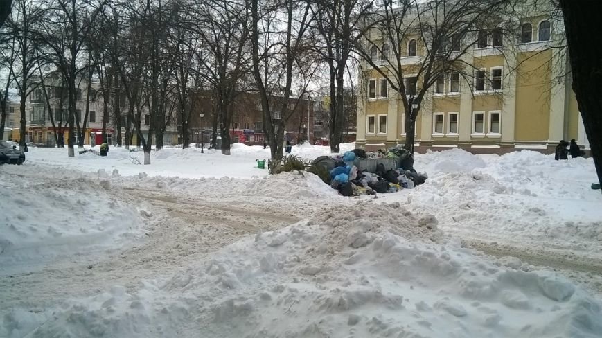 Полтавчане сетуют на переполненные мусорные баки (ФОТОФАКТ) (фото) - фото 2 Полтавчане сетуют на переполненные мусорные баки (ФОТОФАКТ) (фото) - фото 2