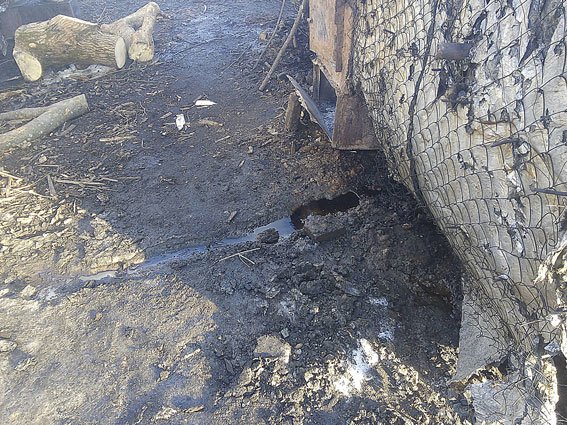 На Сумщине полиция разоблачила незаконное производство древесного угля на сумму 3,6 млн гривен (ФОТО) (фото) - фото 1 На Сумщине полиция разоблачила незаконное производство древесного угля на сумму 3,6 млн гривен (ФОТО) (фото) - фото 1